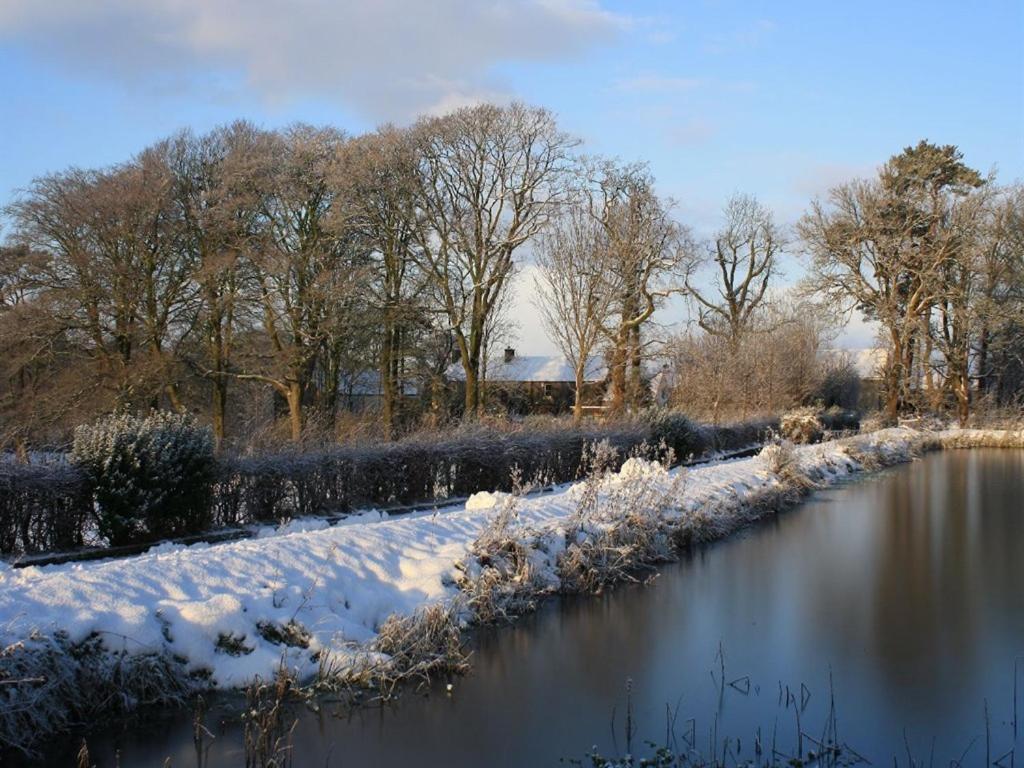 Ballylagan Organic Farm Straid  Exteriör bild
