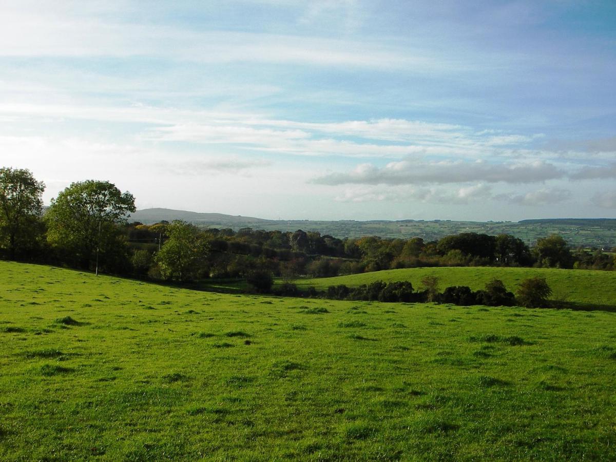 Ballylagan Organic Farm Straid  Exteriör bild