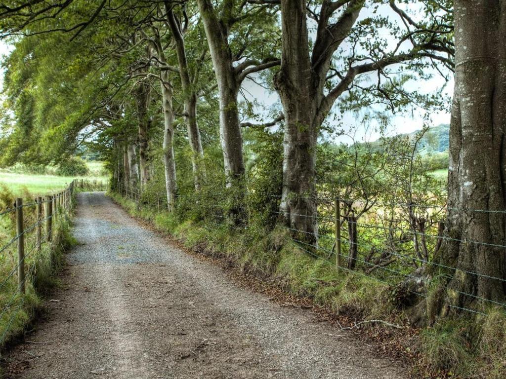 Ballylagan Organic Farm Straid  Exteriör bild