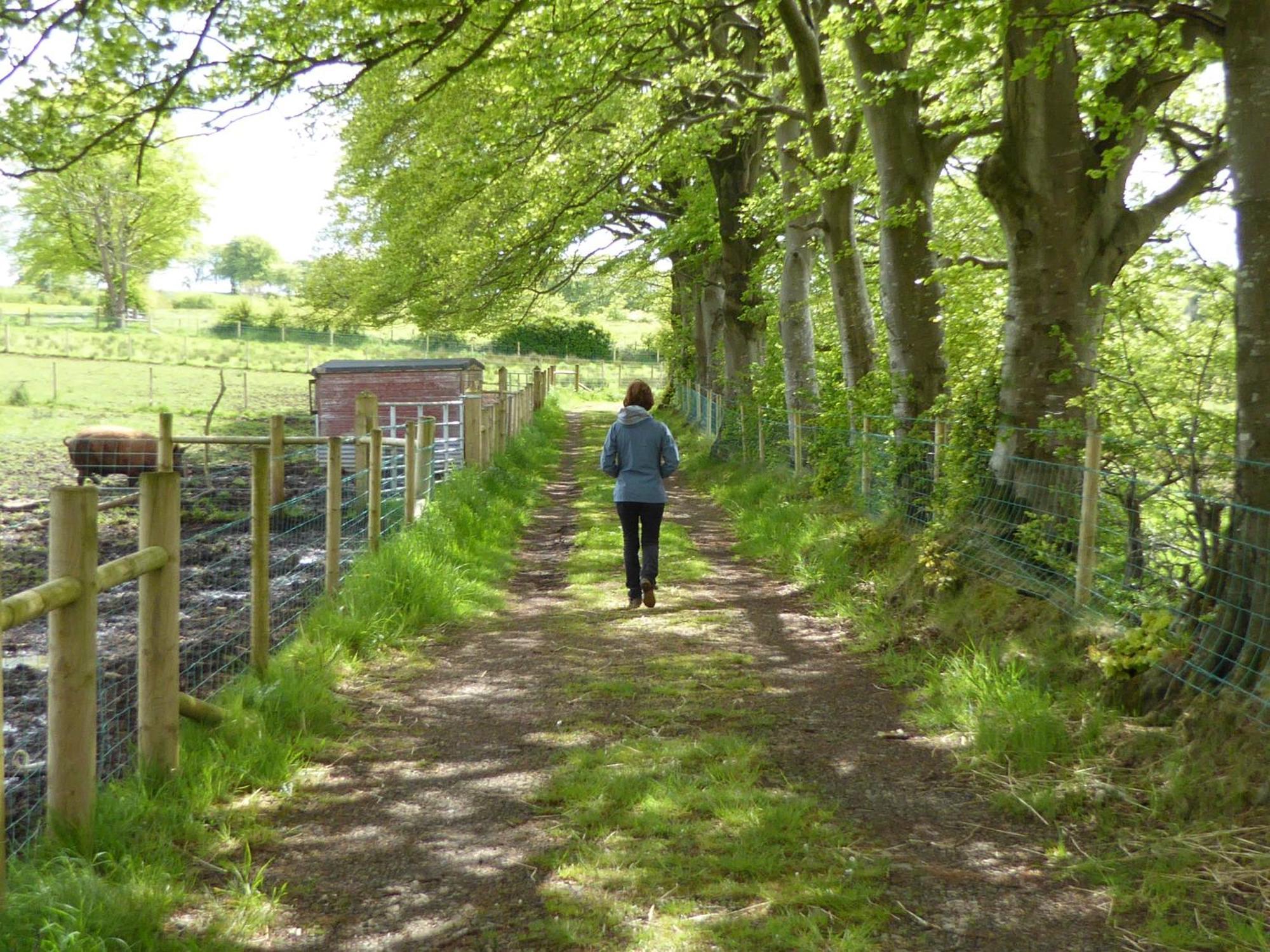 Ballylagan Organic Farm Straid  Rum bild